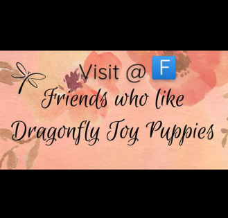 Friends Who Like Dragonfly Toy Puppies 